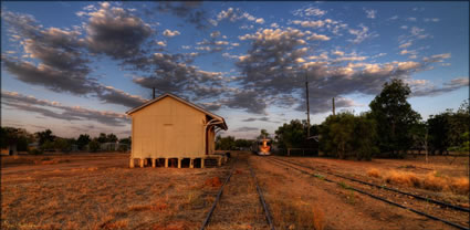 Savannahlander - QLD T (PBH3 00 13071)