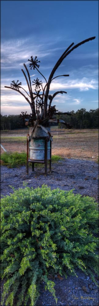 Sculpture - Jardee - WA (PBH3 00 7242)