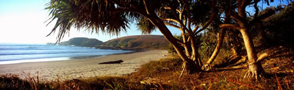 Serenity Beach 2 - NSW (PB 003075)