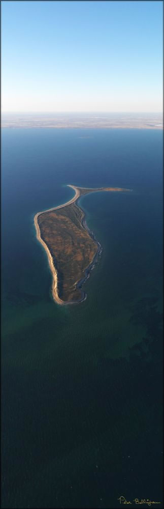 Serrurier Island - WA (PBH3 00 8317)