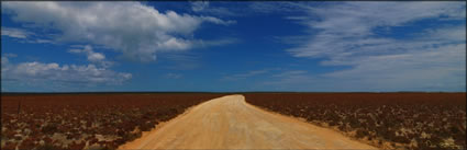 Shark Bay - WA (PBH3 00 5010)