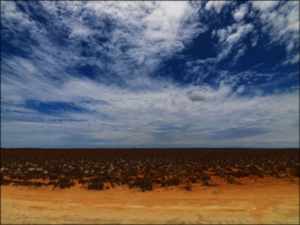 Shark Bay - WA (PBH3 00 5013)