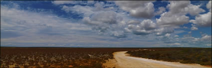 Shark Bay - WA (PBH34 00 5011)