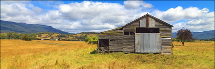 Shed at Mole Creek - TAS (PBH3 00  0525)