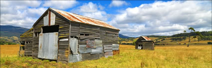 Shed at Mole Creek- TAS (PBH3 00 0526)