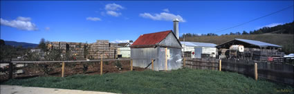 Sheds at Apple Orchard - TAS (PB00 5745)