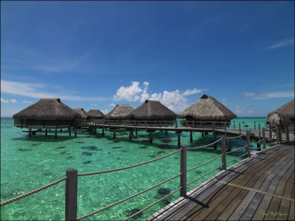 Sheraton Resort - Moorea SQ (PBH3 00 1515)