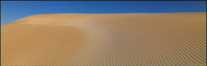 Sheringa Sand Dunes - SA (PBH3 00 26050)