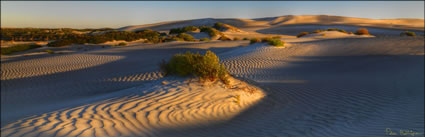Sheringa Sand Dunes - SA (PBH3 00 2606)