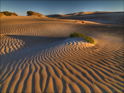 Sheringa Sand Dunes - SA SQ (PBH3 00 26071)
