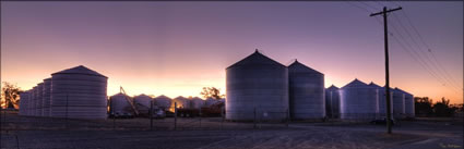 Silos - Temora - NSW (PBH3 00 17316)