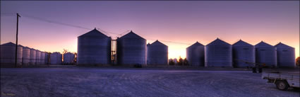 Silos - Temora - NSW (PBH3 00 17319)