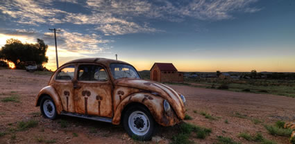 Silverton Beetle - NSW T (PBH3 00 16517)