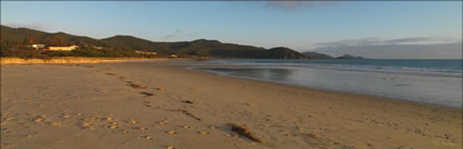 Sisters Beach - TAS (PBH3 00 2904)