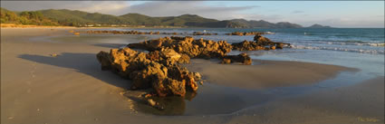 Sisters Beach - TAS (PBH3 00 2909)