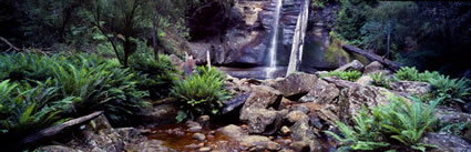 Snug Falls - TAS (PB00 5347)