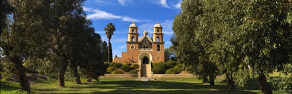 St Francis Xavier Cathedral - WA H (PBH3 00 2628)