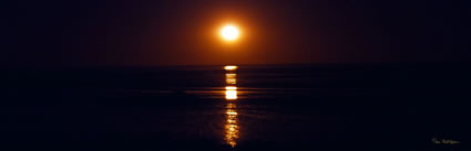 Stairway to the Moon - Broome (PB00 4487)