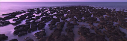 Stromatolites - WA H (PBH3 00 5078)