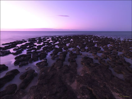 Stromatolites - WA SQ (PBH3 00 5078)