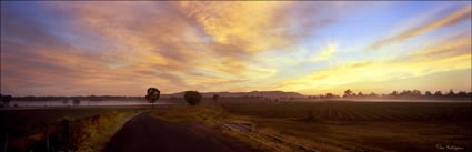 Sunrise - Miva - QLD (PB00 5130)