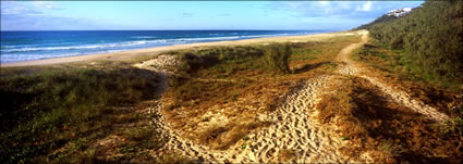 Sunshine Beach 2 - QLD (PB003344)