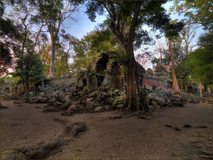 Ta Phrom Temple - (PBH3 00 6454)