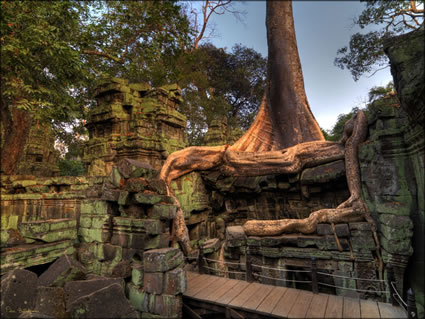 Ta Phrom Temple - (PBH3 00 6457)