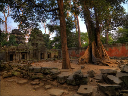 Ta Phrom Temple - (PBH3 00 6460)