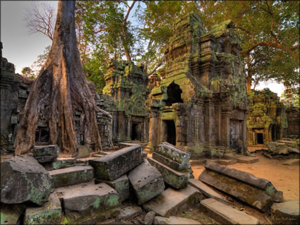 Ta Phrom Temple - (PBH3 00 6463)