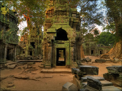 Ta Phrom Temple - (PBH3 00 6466)