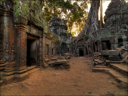 Ta Phrom Temple - (PBH3 00 6474)