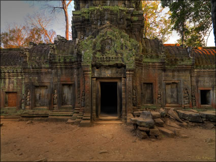 Ta Phrom Temple - (PBH3 00 6483)