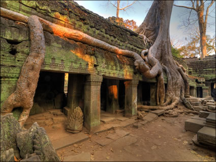 Ta Phrom Temple - (PBH3 00 6489)