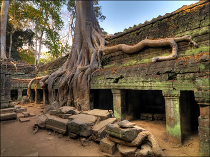 Ta Phrom Temple - (PBH3 00 6492)