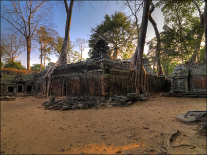 Ta Phrom Temple - (PBH3 00 6498)