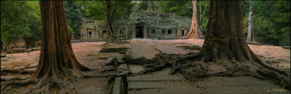 Ta Phrom Temple H (PBH3 00 6430)