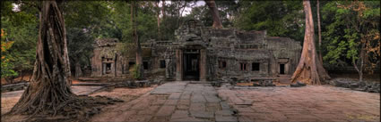 Ta Phrom Temple H (PBH3 00 6433)