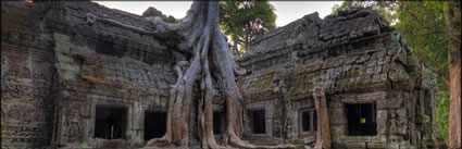 Ta Phrom Temple H (PBH3 00 6445)