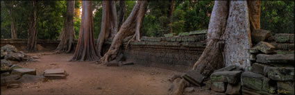 Ta Phrom Temple H (PBH3 00 6451)