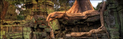 Ta Phrom Temple H (PBH3 00 6457)