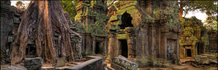 Ta Phrom Temple H (PBH3 00 6463)