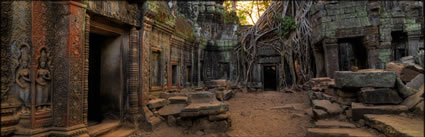 Ta Phrom Temple H (PBH3 00 6474)