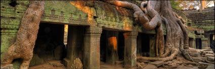 Ta Phrom Temple H (PBH3 00 6489)