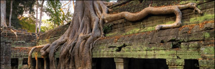 Ta Phrom Temple H (PBH3 00 6492)