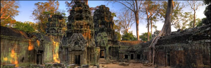 Ta Phrom Temple H (PBH3 00 6495)