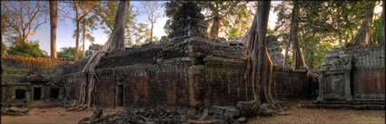 Ta Phrom Temple H (PBH3 00 6498)