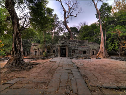 Ta Phrom Temple  (PBH3 00 6433)