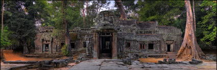 Ta Phrom Temple  (PBH3 00 6436)