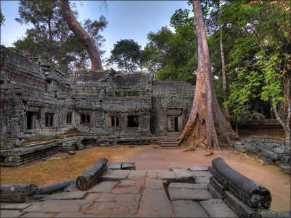 Ta Phrom Temple  (PBH3 00 6439)